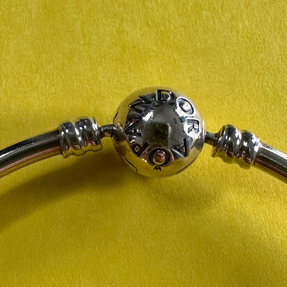 Pandora SS Bracelet with Intricate Charm Closure